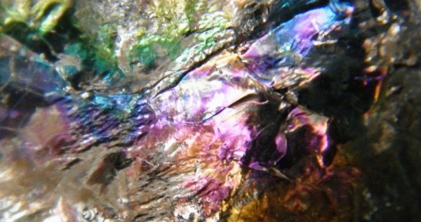 Iridescent anthracite coal from a strip mine in Schuylkill County, Pennsylvania