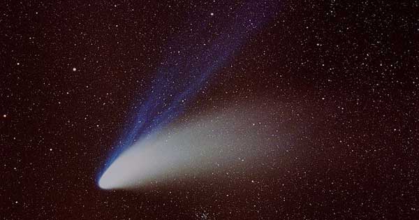 Hale-Bopp Comet, 1997 (Hans Bernhard)