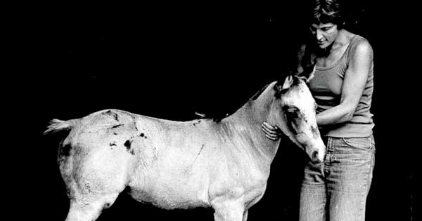 Maxine Kumin and her three-month-old filly Boomer, in the fall of 1976 (Photo by Georgia Litwack)