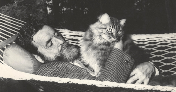 Randall Jarrell at home with his cat Elfi, to whom The Animal Family is dedicated, circa 1964 (UNC Greensboro Special Collections and University Archives)