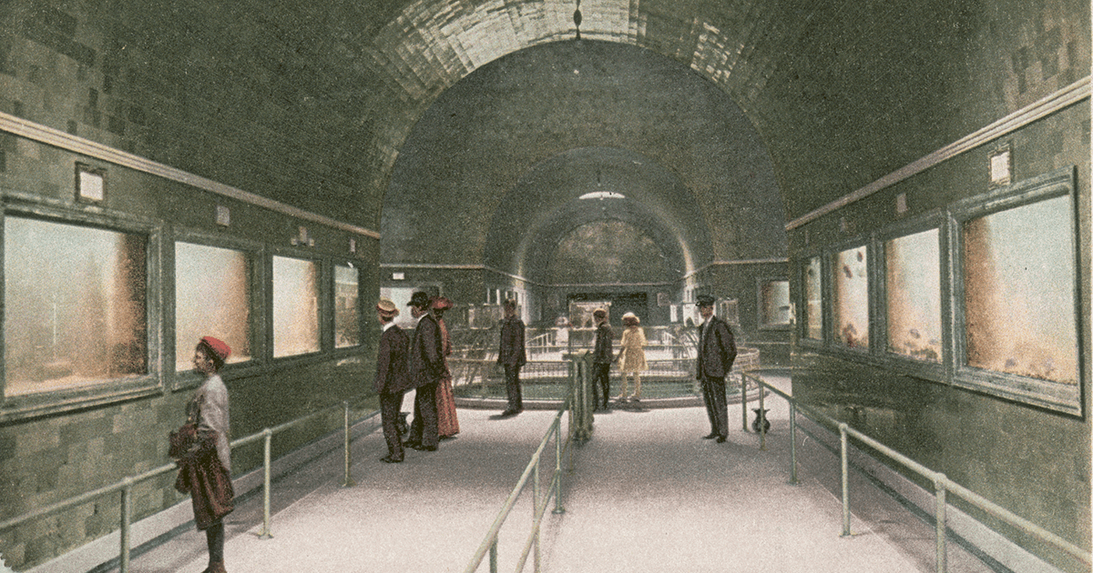 A postcard featuring the Belle Aquarium (New York Public Library Digital Library)