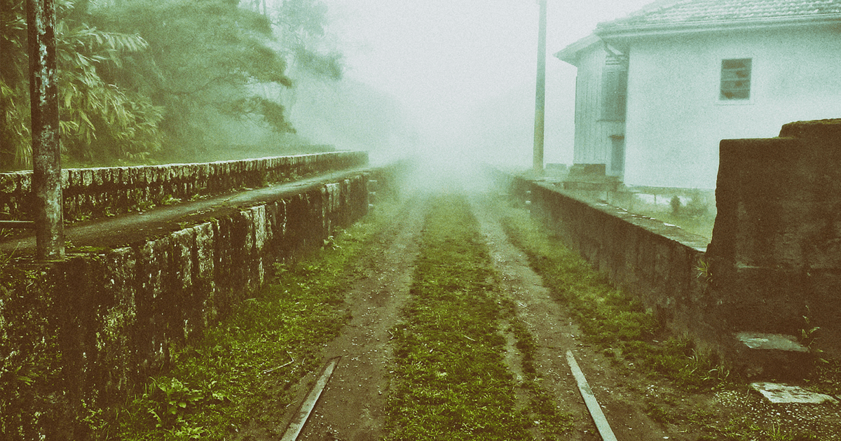 Diego Torres Silvestre/Flickr