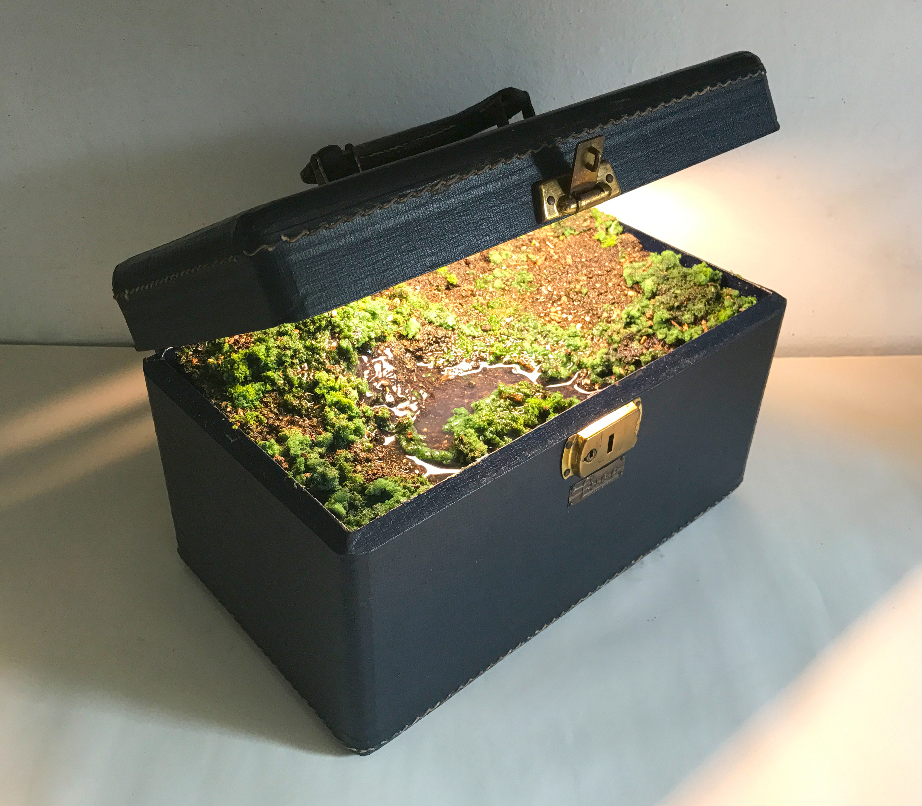 Traveling Landscape, Luce, 11 x 6.5 x 8 inches, vintage train case, resin, artificial foliage, soil, water, water pump, fluorescent light