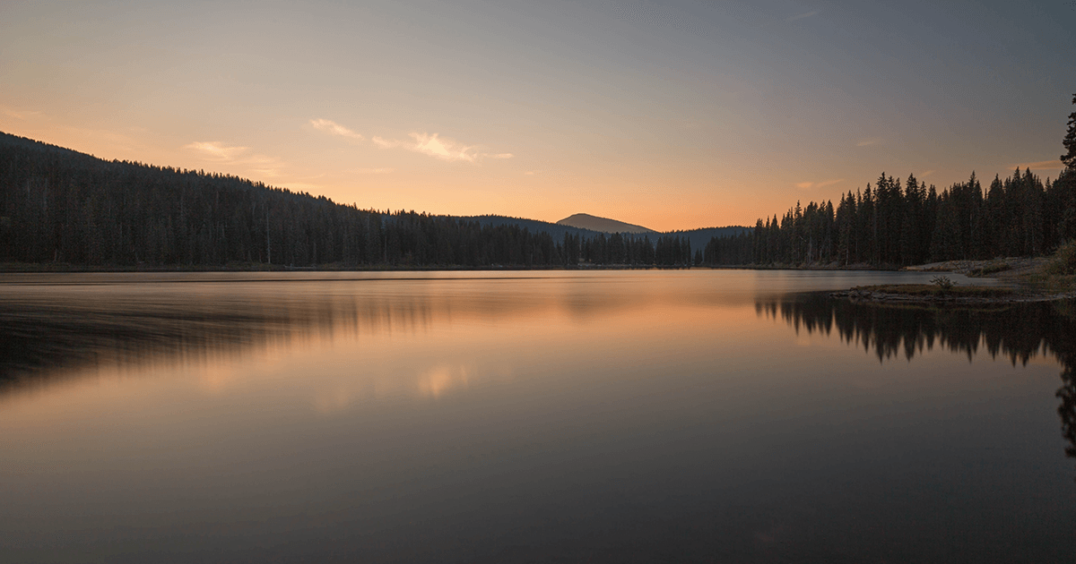 Flickr/Michael Levine-Clark
