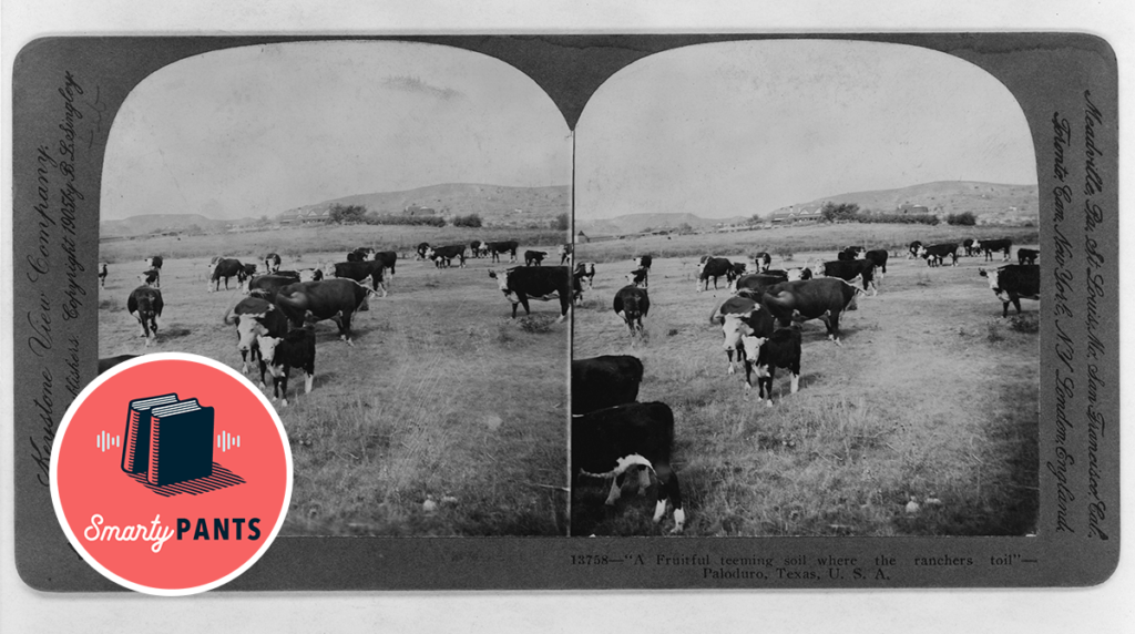 "A fruitful teeming soil where the ranchers toil" is the inscription on this photograph from Paloduro, TX (Keystone View Company/Library of Congress)