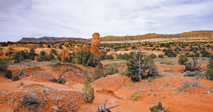 Red rock formations in the desert are interspersed with cacti and brush