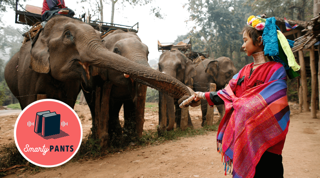 A young girl from the Longneck tribe feeds an elephant waiting in a row of other elephants and mahouts