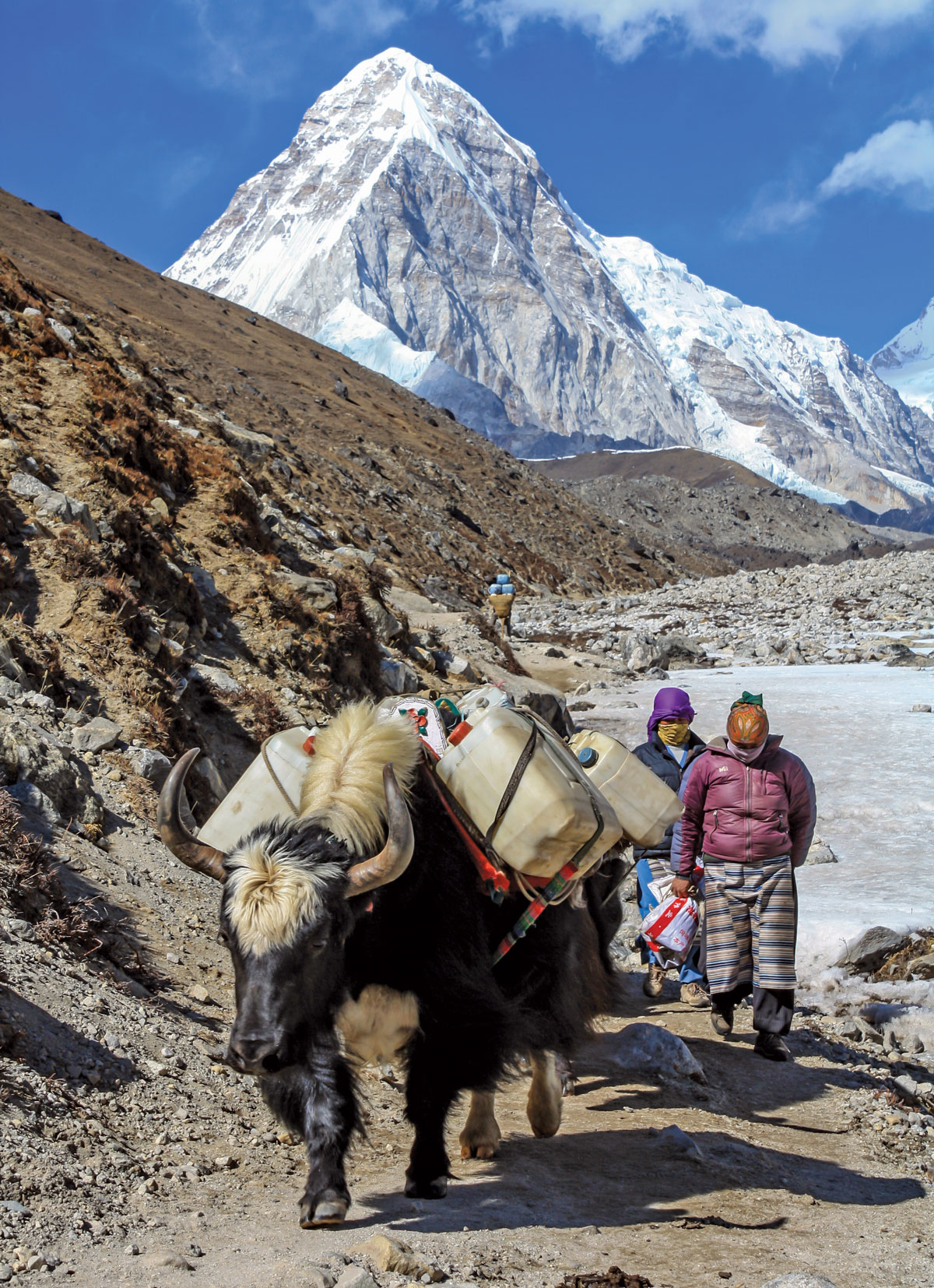 A yak bears empty water jugs near the settlement of Lobuche, with Mount Pumori, on the border between Nepal and Tibet, looming in the distance. (Alex Basaraba)