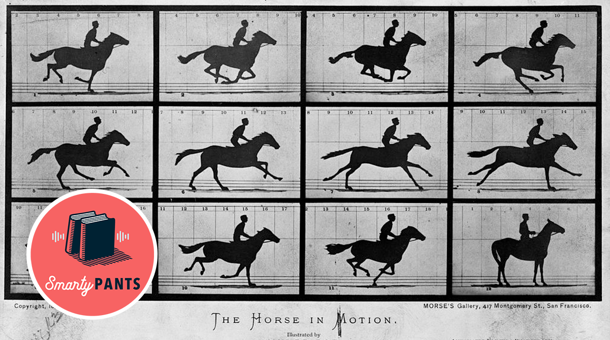 The Horse in Motion (1878) by Eadweard Muybridge
