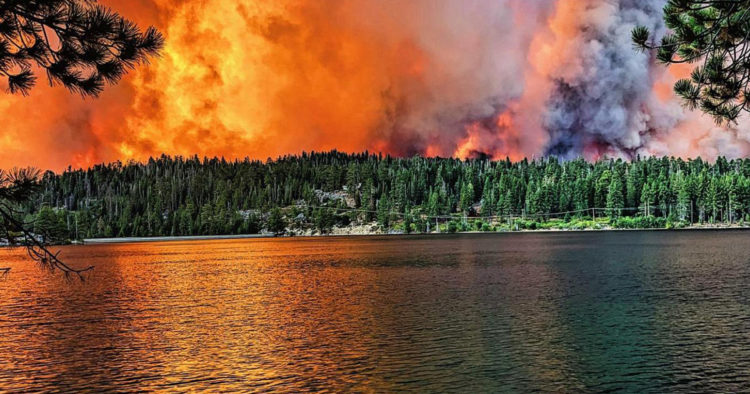 The Sierra Nevada: Wildfires in the Wilderness