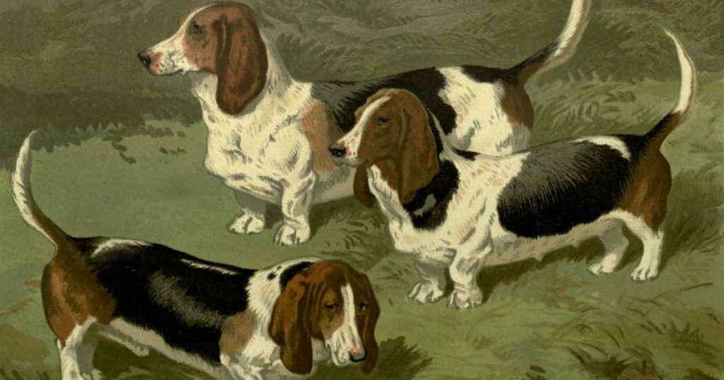 From <em>Cassell's Illustrated Book of the Dog (1881)</em> (Archive.org)