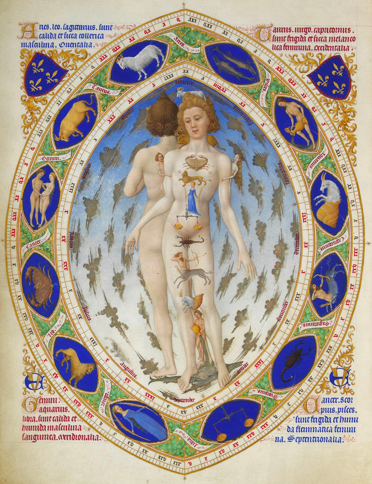 Zodiac Man appeared in medical journals to help medieval physicians link the body to the heavens. (Wikimedia Commons)