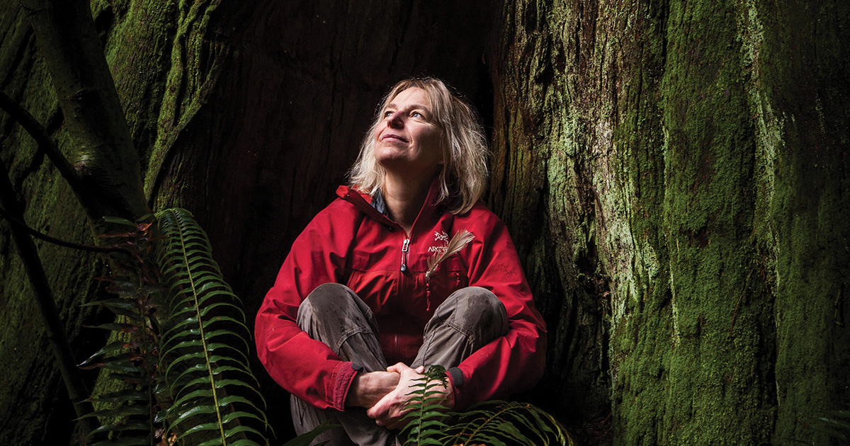 Suzanne Simard discovered how trees exchange nutrients, water, and chemical messages. (Diana Markosian)