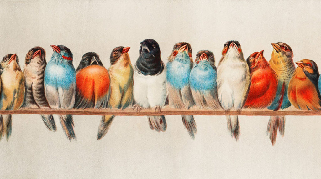 Detail from <em>A Perch of Birds</em> (1880) by Hector Giacomelli