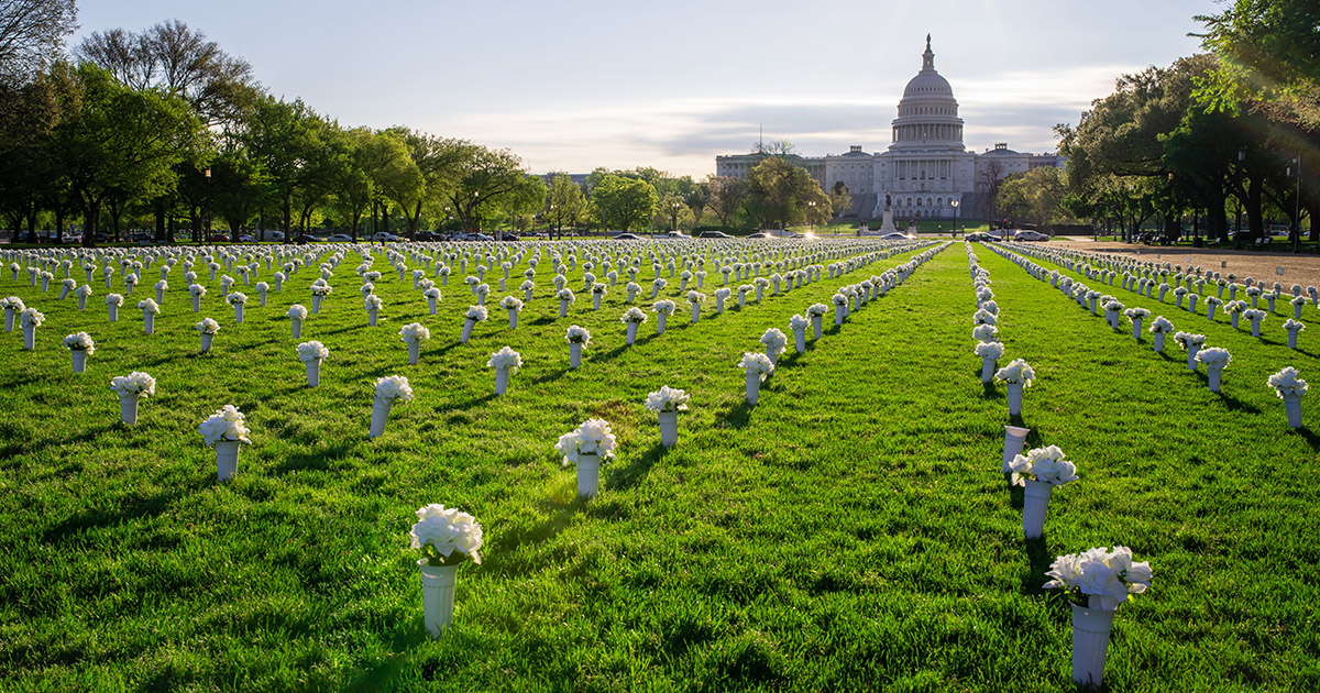 A memorial of 40,000 white flowers on the National Mall honors victims who lost their lives to gun violence. (Geoff Livingston/Flickr)