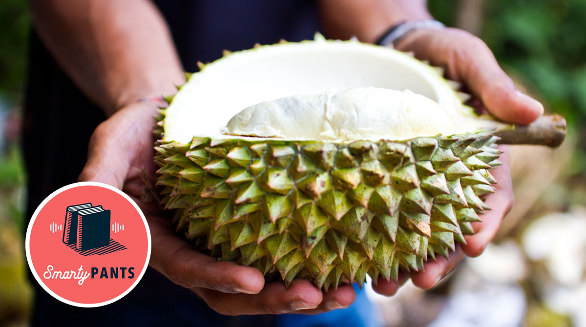 Durian, the king of fruits—and smells (Flickr/luzge)
