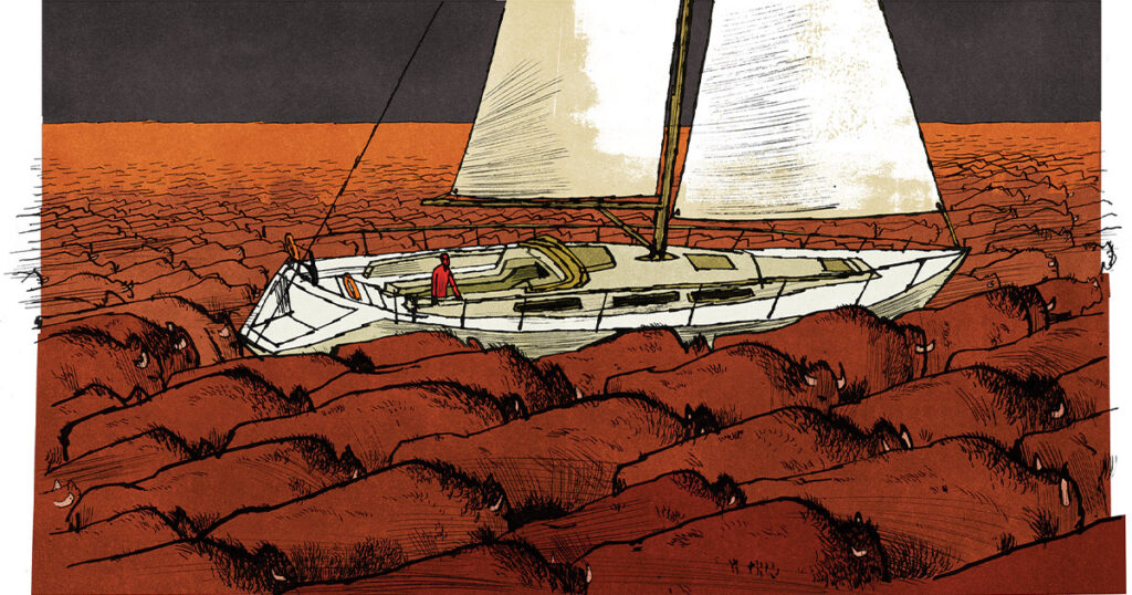 Illustration by Matt Rota